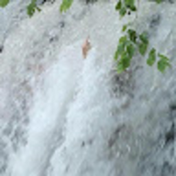 Meet your Posher, Fawn - Picture 1 of 1